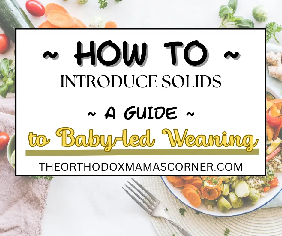 How To Introduce Solids A Guide To Baby Led Weaning